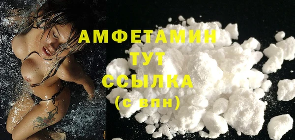 стаф Кулебаки