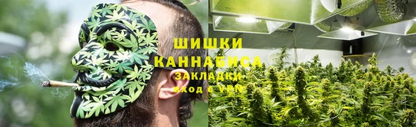 стаф Кулебаки