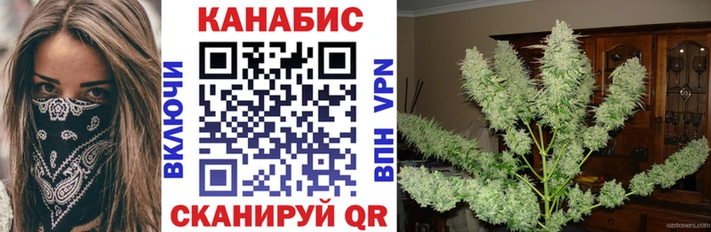 что такое   Лаишево  Бошки Шишки семена 
